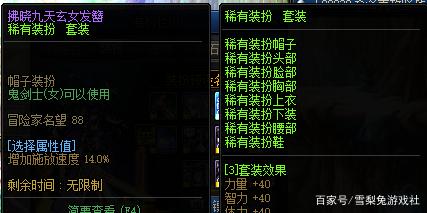 地下城私服-与勇士私服 强烈的气息（最新dnf私服100版本强烈的气息）1006